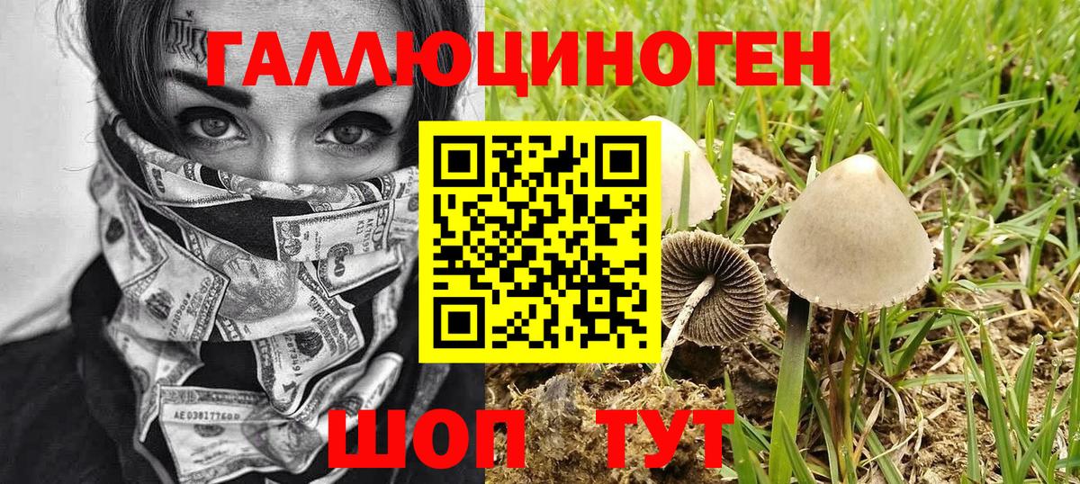 Псилоцибиновые грибы прущие грибы  Вход с VPN  Острогожск 